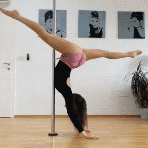 Poles Are Not For Them…