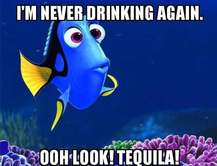 Need Some Salt With These Tequila Memes?