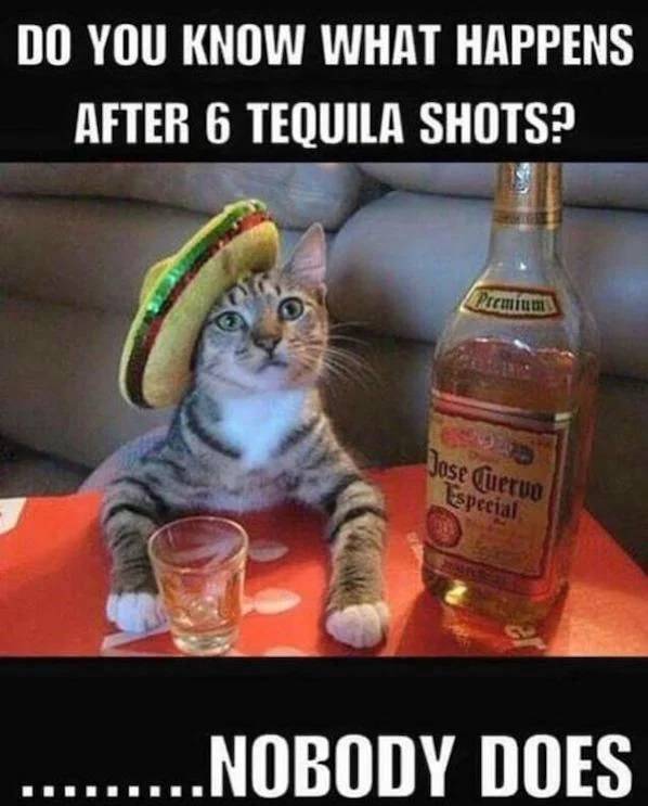 Need Some Salt With These Tequila Memes?