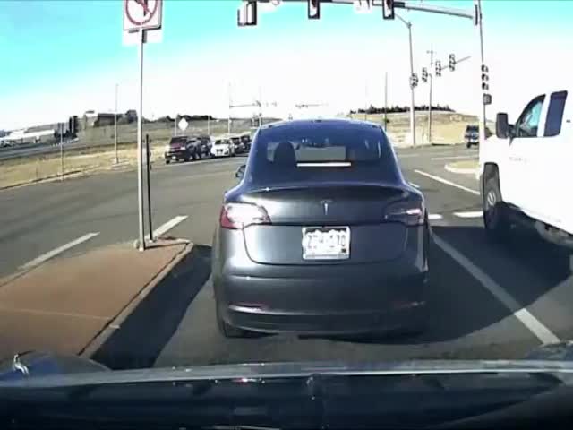 Tesla Autopilot Reaction