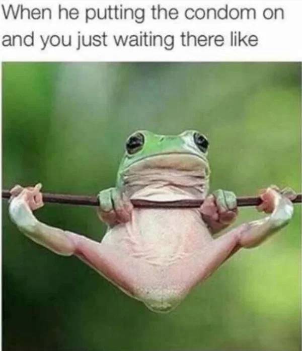 Ready To Enjoy The Sex Memes?