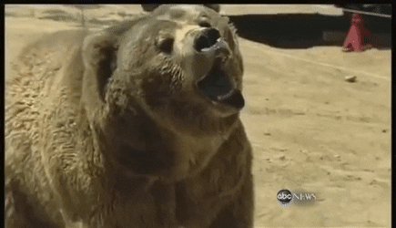 Never Say This During Sex…