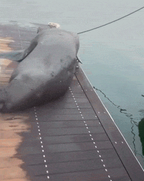 Hotties Do, In Fact, Fail A Lot…