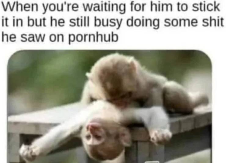 These Sex Memes Are Dirty!