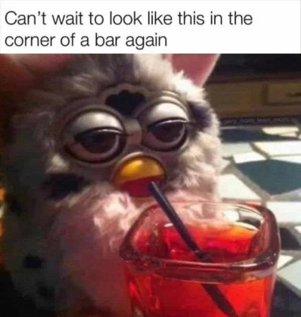 Wasted Is An Understatement…