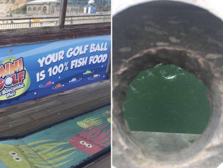 Pics That Are So Poignant And Fascinating