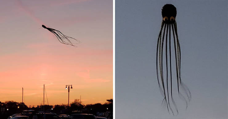 Did You Know These Things Existed?