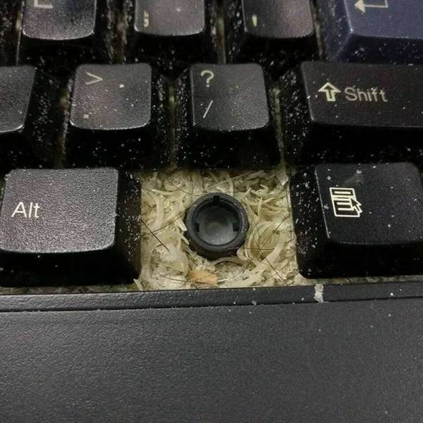 How Can You Be SO MESSY?!