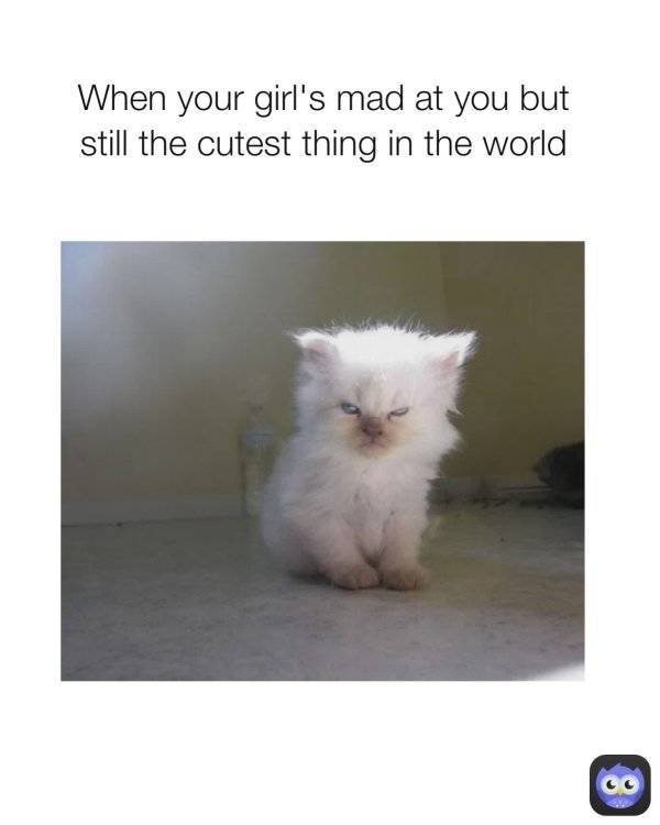 Dirty Memes For Your Flirting Needs