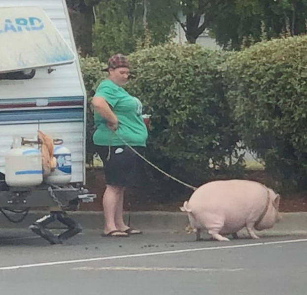 “Walmart” Visitors Are Very Special…