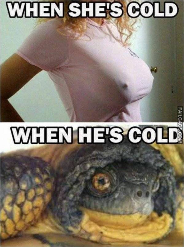 Enjoy Some Dirty Sex Memes!