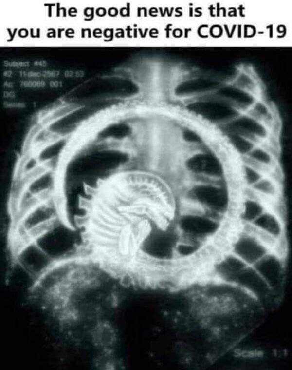 Enjoy Some Dirty Sex Memes!