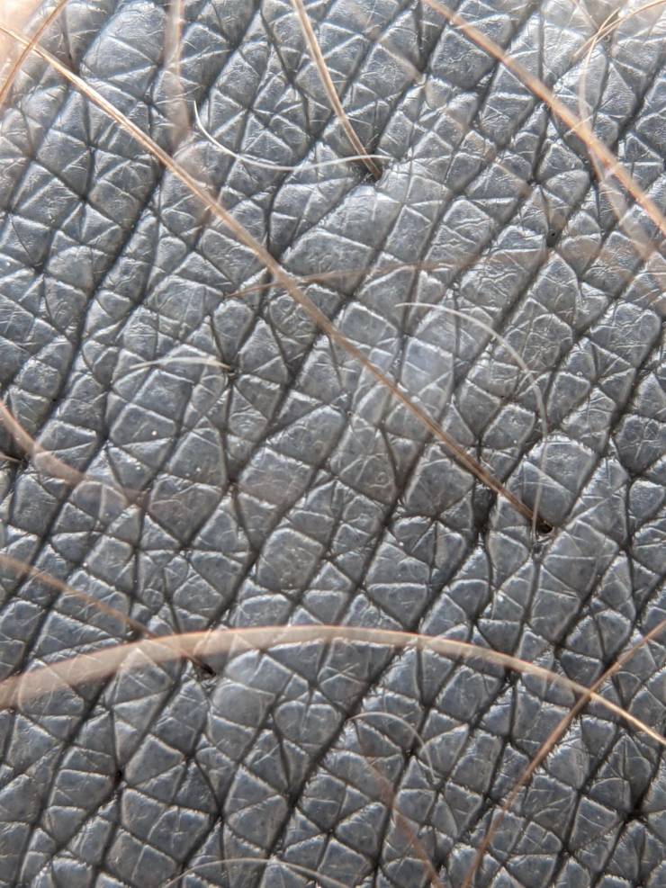 Now That’s Really Cool!