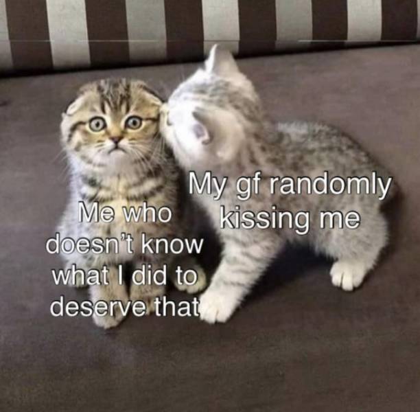 Your Special One Will Enjoy These Flirty Memes!