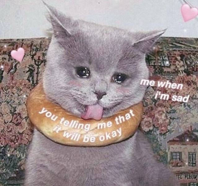 Your Special One Will Enjoy These Flirty Memes!