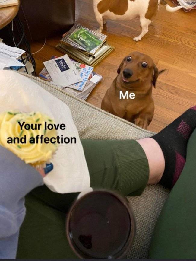 Your Special One Will Enjoy These Flirty Memes!