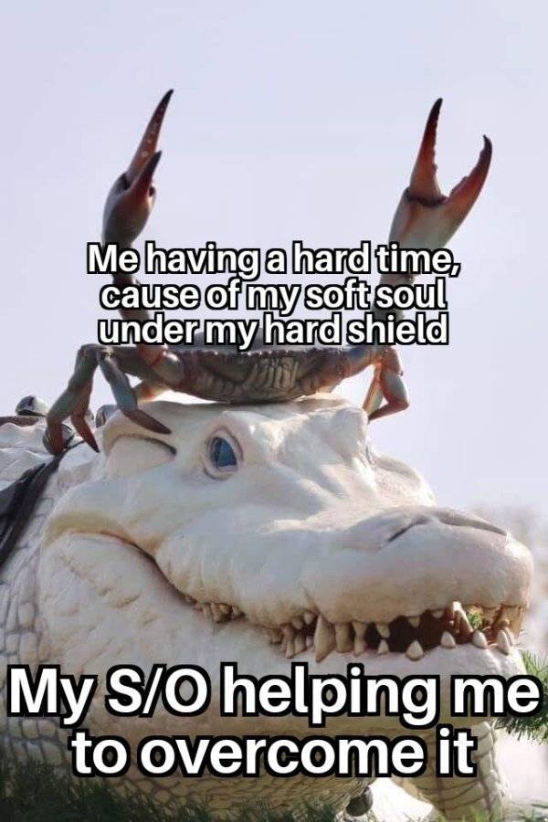 Your Special One Will Enjoy These Flirty Memes!