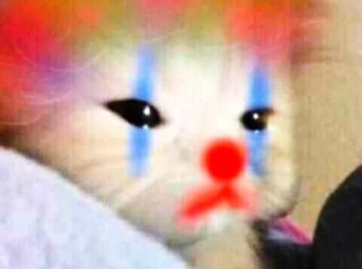 Blowjobs Can Be… Questionable…