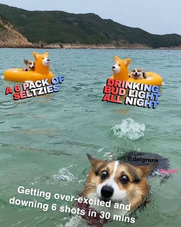 These Memes Are Already Drunk…