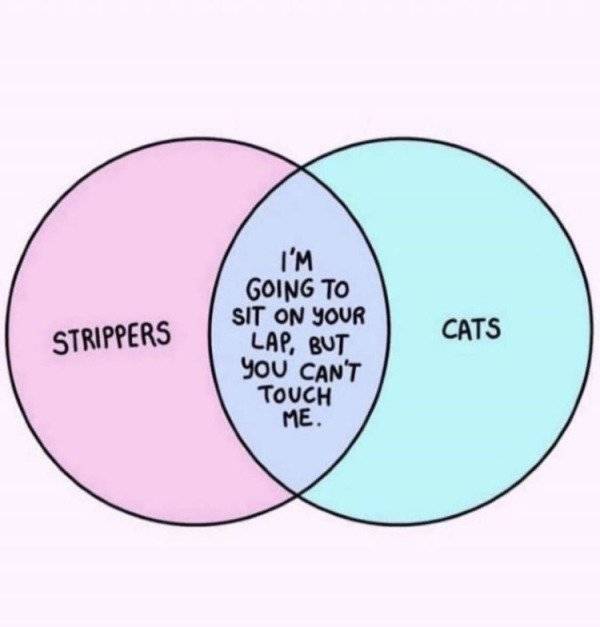 Ready For Some Shameless Sex Memes?!