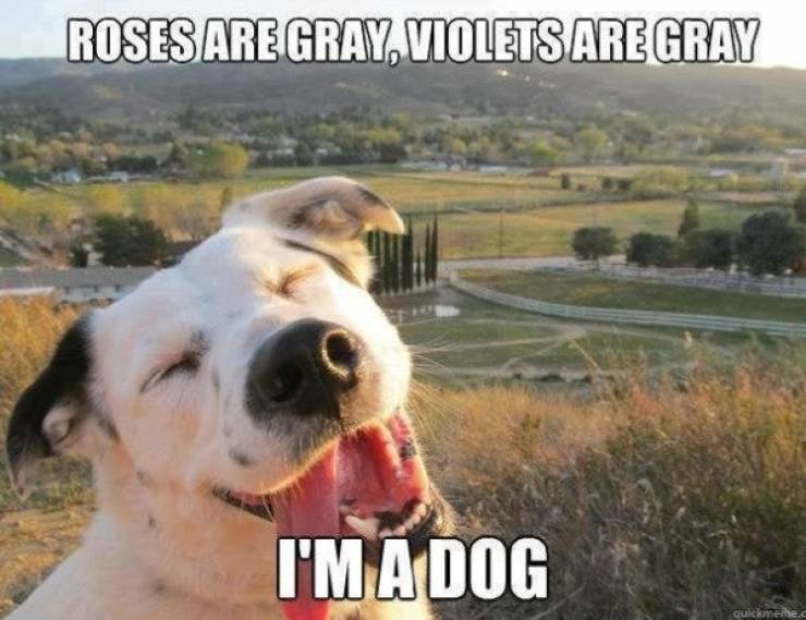 Enjoy The Dirtiness!