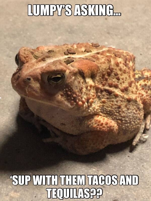 They Are 100% Drunk!