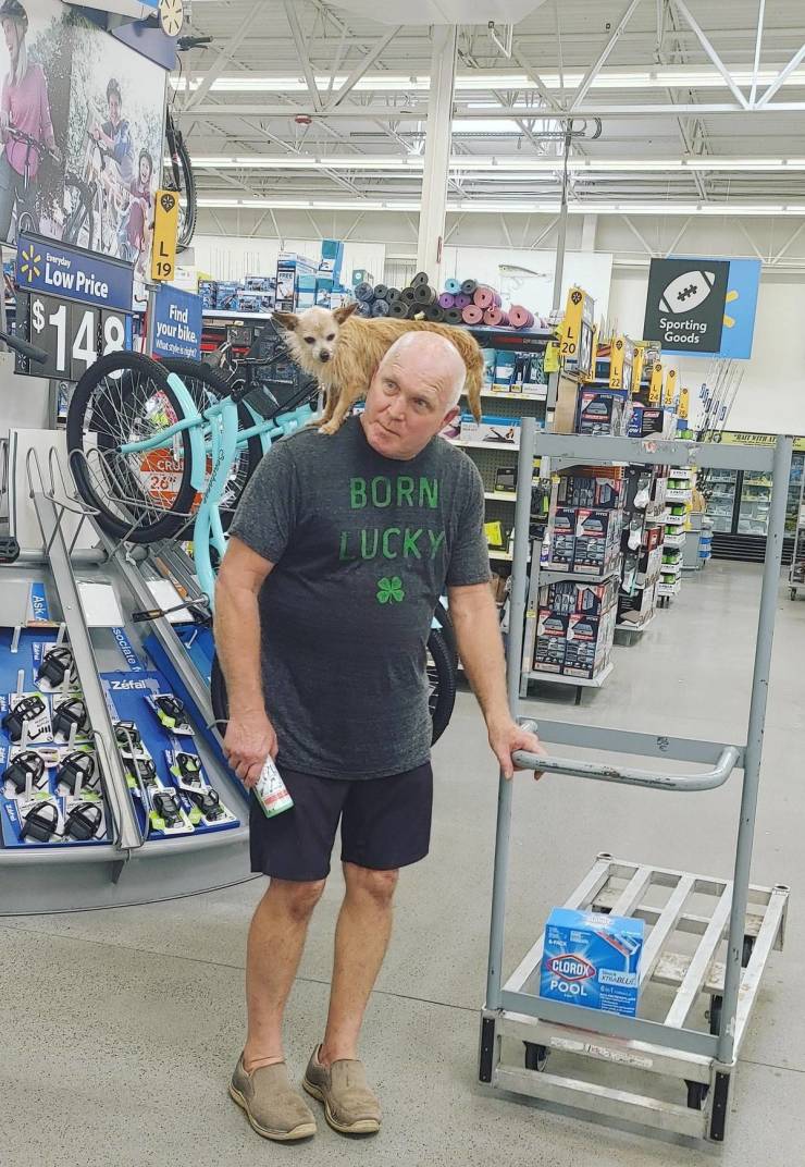 “Walmart” And Its Crazy Customers