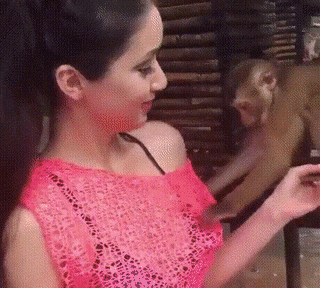 How Dirty Is Your Mind?