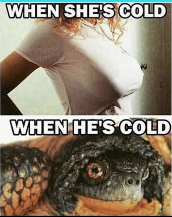 Dirty Minds, Rejoice!