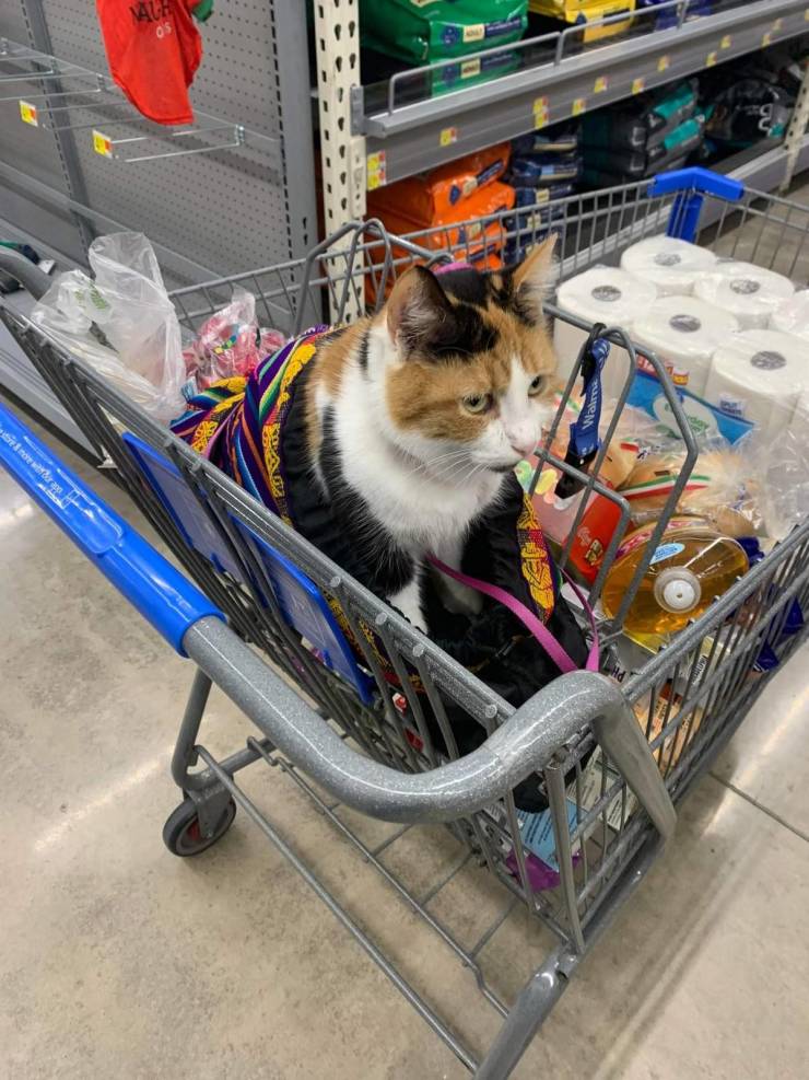 “Walmart” Customers… Enough Said…