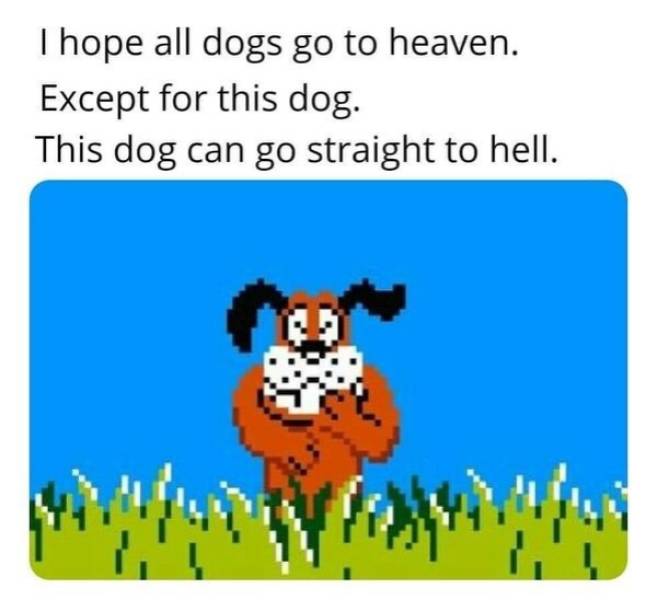 Annoyed And Grumpy? These Memes Are For You!