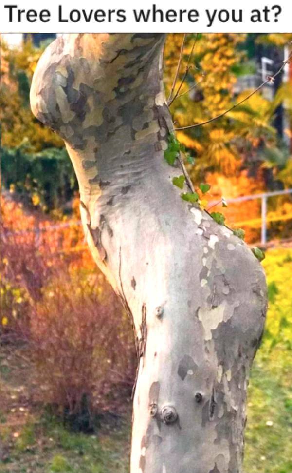 Annoyed And Grumpy? These Memes Are For You!