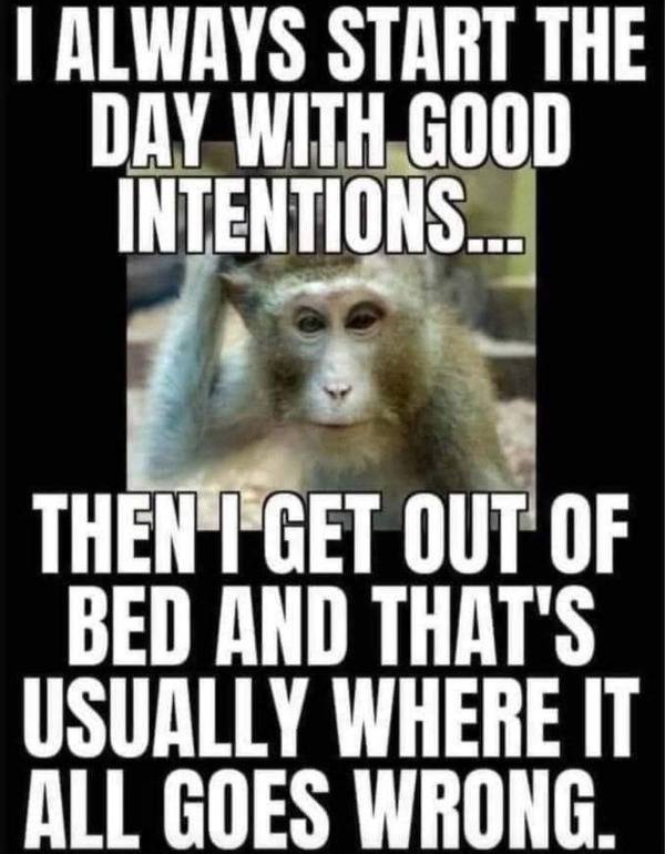 Annoyed And Grumpy? These Memes Are For You!