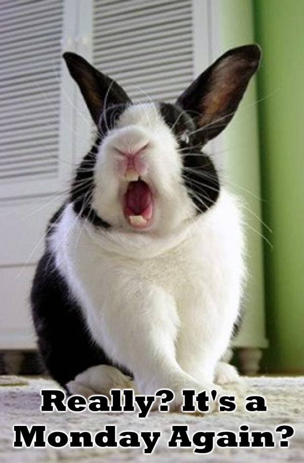 Annoyed And Grumpy? These Memes Are For You!