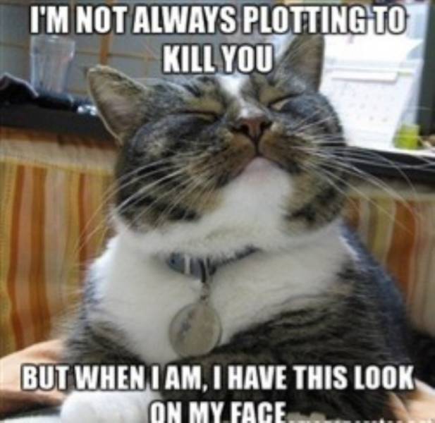 2022 Is Off To A NSFW Start!