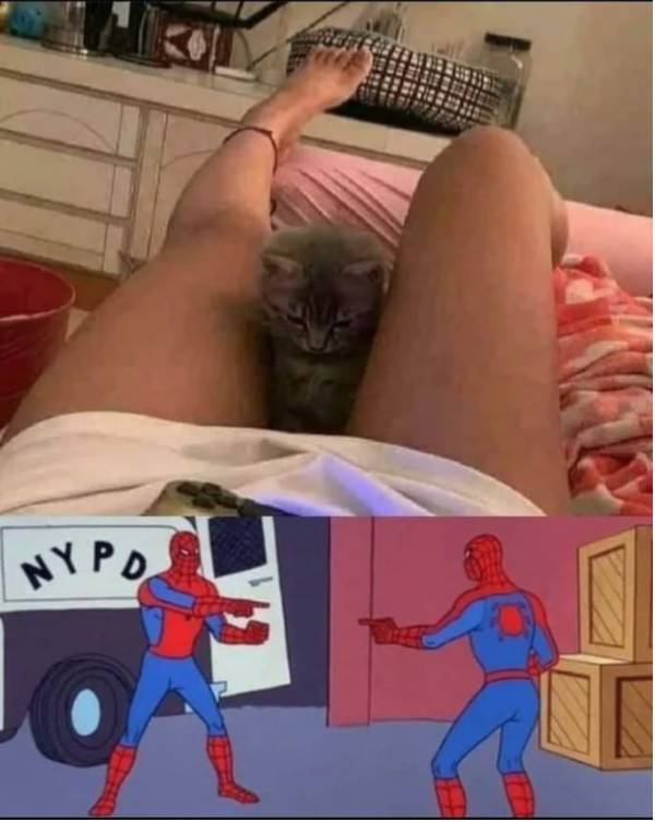 2022 Is Off To A NSFW Start!