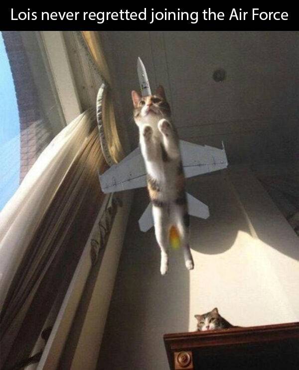 Random Dirty Memes…