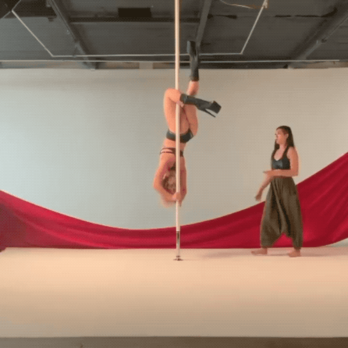 Pole Professionals… Not Found