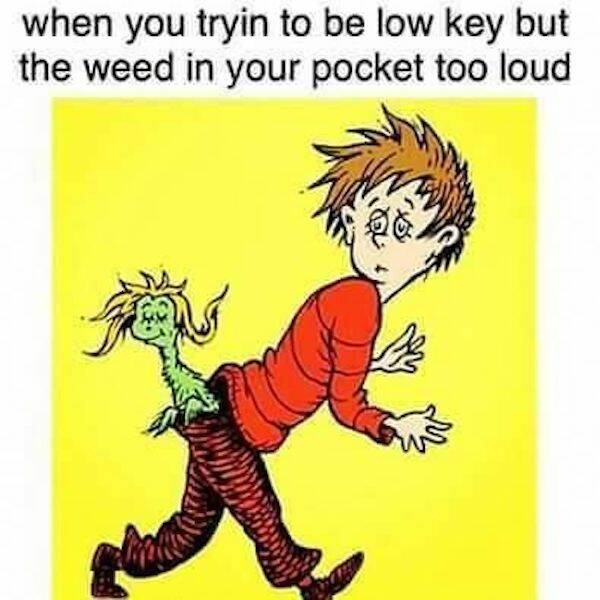 These Memes Are Way Too High!