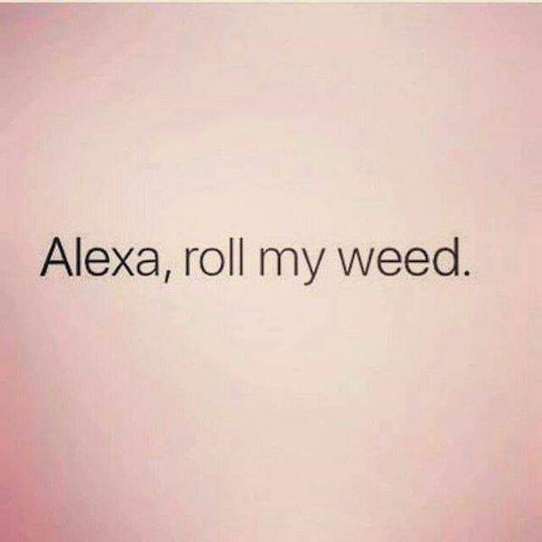 These Memes Are Way Too High!