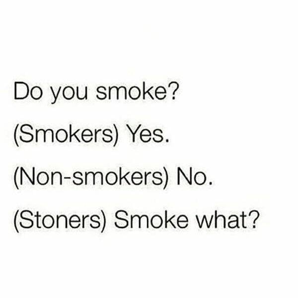 These Memes Are Way Too High!