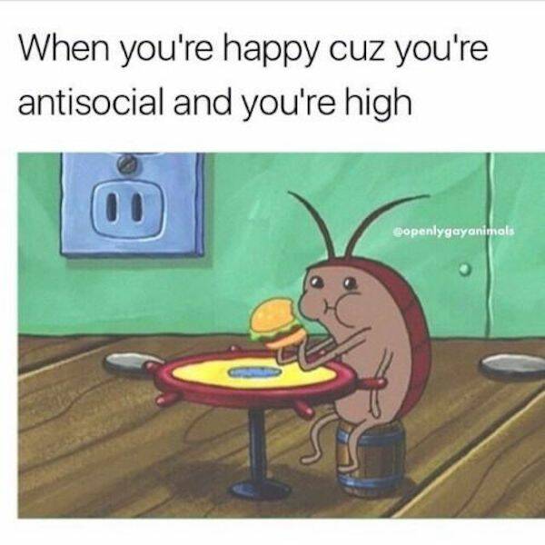 These Memes Are Way Too High!