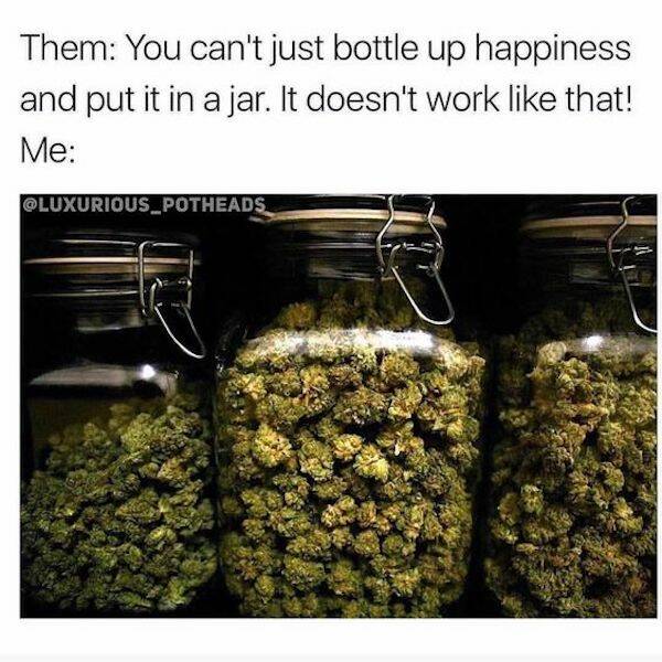 These Memes Are Way Too High!