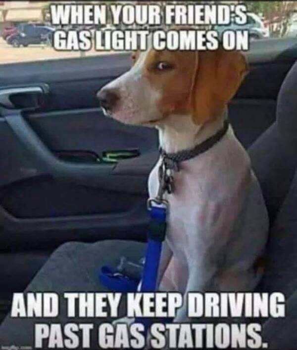 Just Some Adult Humor For Ya