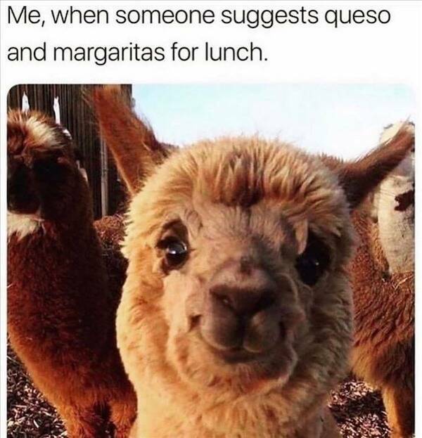 Drinking Never Stops…