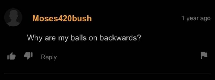 “Pornhub” Comment Section Is A Wild Ride…