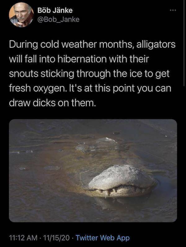 All The Dirty Mind Goodness!