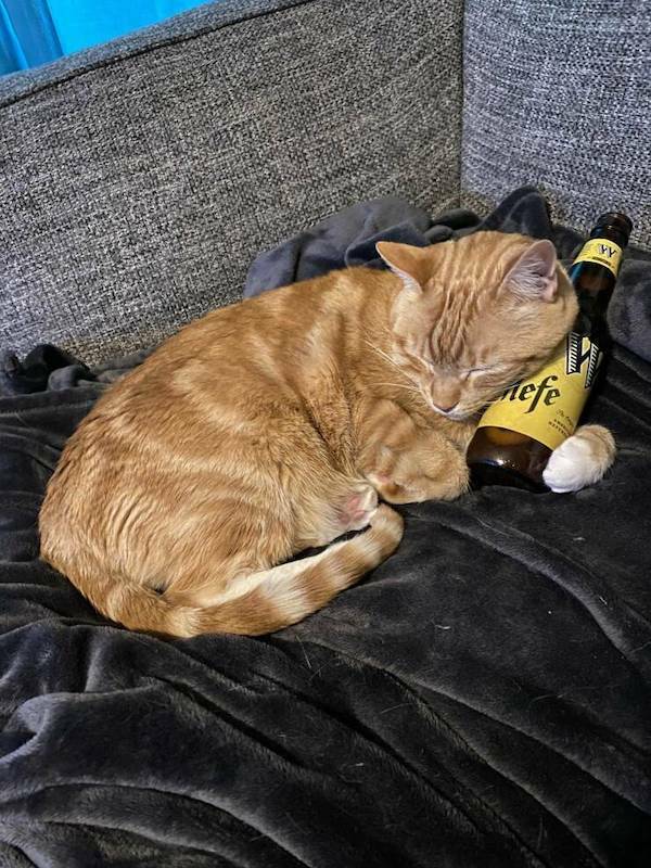 High Alcohol Level Detected!