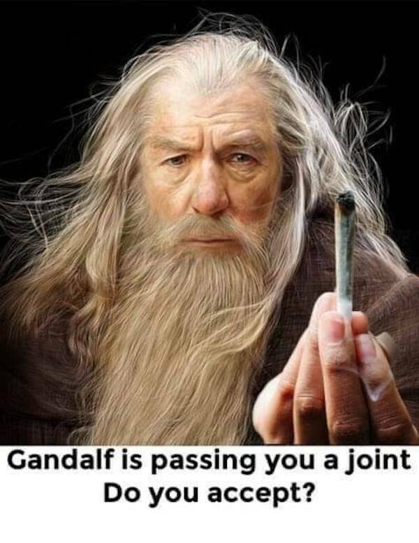 These Memes Are Higher Than The Sky…