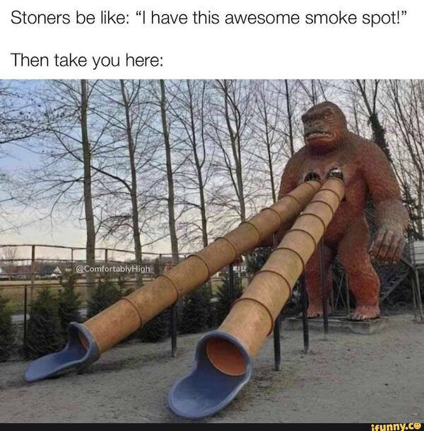 These Memes Are Higher Than The Sky…